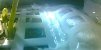 China lleva a la Luna el primer experimento biológico y hace crecer allí el primer brote de algodón Primer cultivo de algodón en la Luna