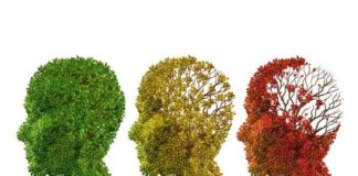 La sobreexpresión del gen Nrf2 en los astrocitos ralentiza el Alzheimer en ratones Alzheimer: representación artística