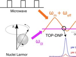 Científicos del MIT desarrollan un método para estudiar moléculas 200 veces más rápido Polarización dinámica nuclear