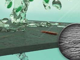 Desarrollan una membrana para purificar agua hecha con bacterias que mata bacterias Membrana hecha con bacterias que purifica agua