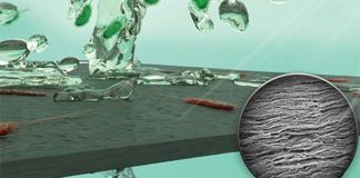 Desarrollan una membrana para purificar agua hecha con bacterias que mata bacterias Membrana hecha con bacterias que purifica agua