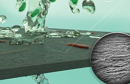 Desarrollan una membrana para purificar agua hecha con bacterias que mata bacterias Membrana hecha con bacterias que purifica agua