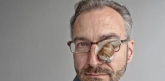 Turner publica Darwin viene a la ciudad, de Menno Schilthuizen: la evolución en entornos urbanos Menno Schilthuizen