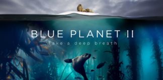 El creador de Planeta Azul II ficha por Netflix