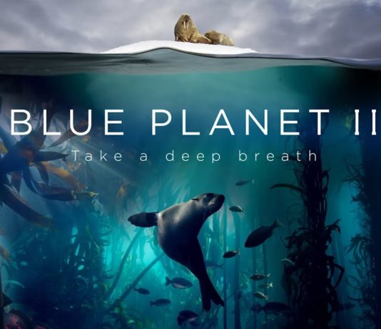 El creador de Planeta Azul II ficha por Netflix