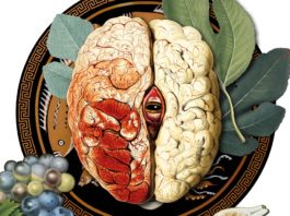 «Pánikas», de Pilar Pedraza. Una novela para surfear en los infiernos entre sueños lúcidos