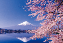 Japón a tu ritmo: la nueva forma de viajar al país del sol naciente