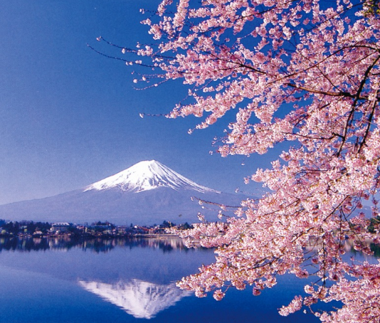 La próxima novela de Matilde Asensi se titula «Sakura» y llega en marzo