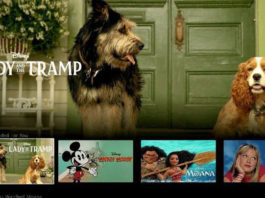 La dama y el vagabundo: así son Reina y Golfo en la película de acción real la-dama-y-el-vagabundo-acción-real-disney