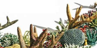 «Diarios del agua», de Roger Deakin, publicado por Impedimenta Fragmento de la ilustración de cubierta de "Diarios del agua", de Roger Deakin