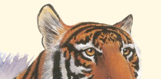 Ediciones Siruela publica en junio «El mundo de los animales», de Desmond Morris Ilustración de la portada de "El mundo de los animales", de Desmond Harris