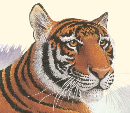 Ediciones Siruela publica en junio «El mundo de los animales», de Desmond Morris Ilustración de la portada de "El mundo de los animales", de Desmond Harris