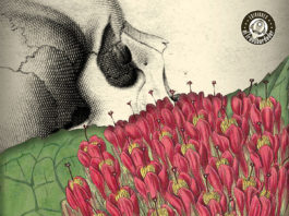 El Transbordador publica «El Jardín del Edén» de Araceli Chiquilla "El Jardín del Edén" (2019) de Araceli Chiquilla publicada por Ediciones El Transbordador