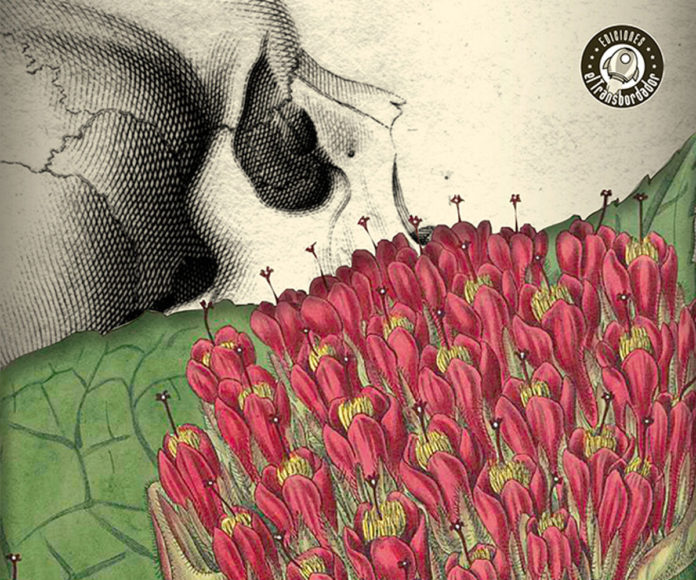Ilustración "El Jardín del Edén" obra publicada por Ediciones El Transbordador "El Jardín del Edén" (2019) de Araceli Chiquilla publicada por Ediciones El Transbordador