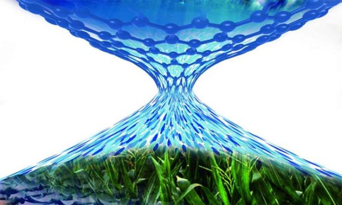 Membrana de nanomesh para desalinizar Membrana de nanomesh para desalinizar