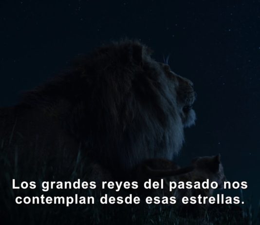El rey león 2019: Beyoncé canta Can you feel the love tonight? en el nuevo spot el rey león 2019 teaser