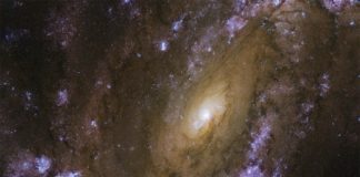 El Telescopio Espacial Hubble explora una galaxia explosiva: NGC 4051 Galaxia explosiva NGC 4501