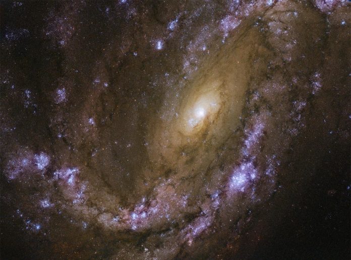 Galaxia explosiva NGC 4501