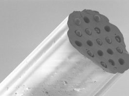 Desarrollan una sonda miniaturizada para controlar el estado del tejido en el pulmón Sonda miniaturizada para controlar el estado del tejido en el pulmón