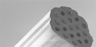 Desarrollan una sonda miniaturizada para controlar el estado del tejido en el pulmón Sonda miniaturizada para controlar el estado del tejido en el pulmón