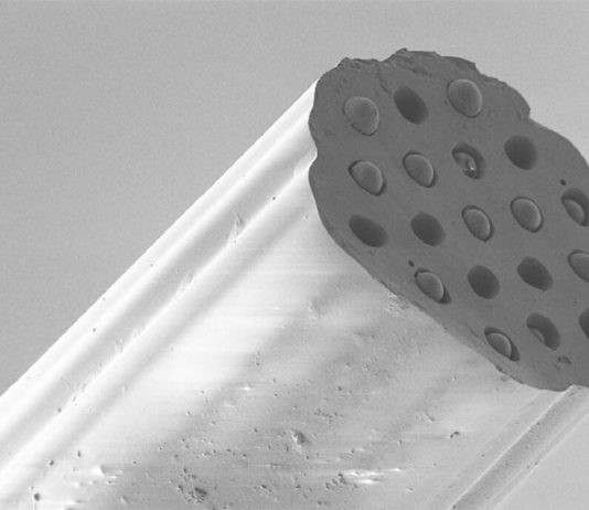 Desarrollan una sonda miniaturizada para controlar el estado del tejido en el pulmón Sonda miniaturizada para controlar el estado del tejido en el pulmón