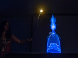 Robots, experimentos y números complejos, la nueva era de la divulgación científica Lucía García, asesora científica, en la jornada Internet y Ciencia de TLP Innova | Fuente: Alby Martín