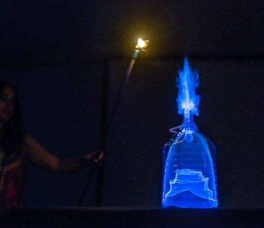 Robots, experimentos y números complejos, la nueva era de la divulgación científica Lucía García, asesora científica, en la jornada Internet y Ciencia de TLP Innova | Fuente: Alby Martín