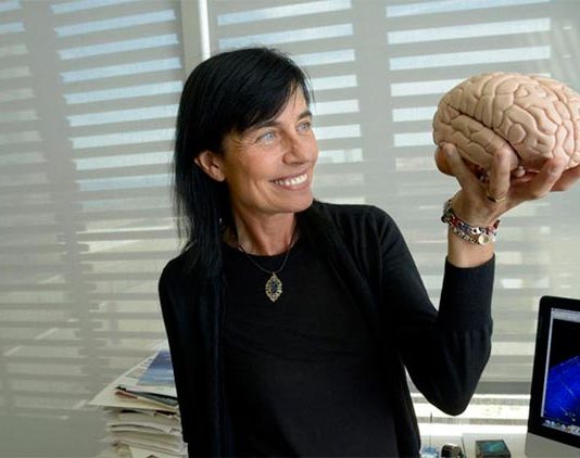 «El cerebro del artista», de Mara Dierssen: Neurociencia accesible para comprender el arte Mara Dierssen