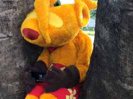 Ty the Tasmanian Tiger podría llegar a Switch gracias a Kickstarter