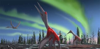 Cryodrakon boreas es ahora una nueva especie de pterosaurio, uno de los animales voladores más grandes de la historia Cryodrakon boreas