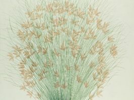 Siruela publica El infinito en un junco, de Irene Vallejo