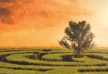 En septiembre, “La esperada lluvia”, de Myriam Imedio