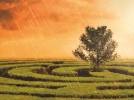 En septiembre, «La esperada lluvia», de Myriam Imedio