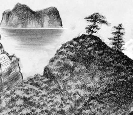 «Geisha o el sonido del shamisen»: Una historia costumbrista japonesa