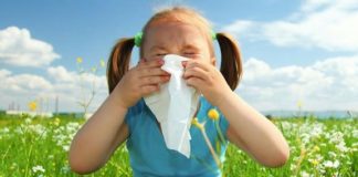 Alergias: ¿Polen o semilla? Alergias