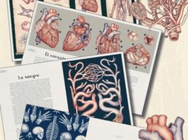 Impedimenta publica el volumen ilustrado Anatomicum: Conoce el interior de tu cuerpo Anatomicum