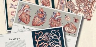 Impedimenta publica el volumen ilustrado Anatomicum: Conoce el interior de tu cuerpo Anatomicum