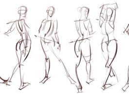 Cómo dibujar: aprender con ejercicios y habilidades Aprende a dibujar