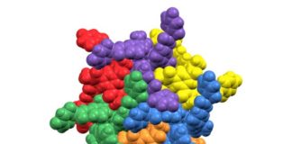 Crean un nuevo material que se autoensambla y tiene un diseño 2D predecible Estructura de un nuevo material autoensamblable