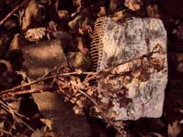 Diarios de Campo: El Mar Menor era una fiesta