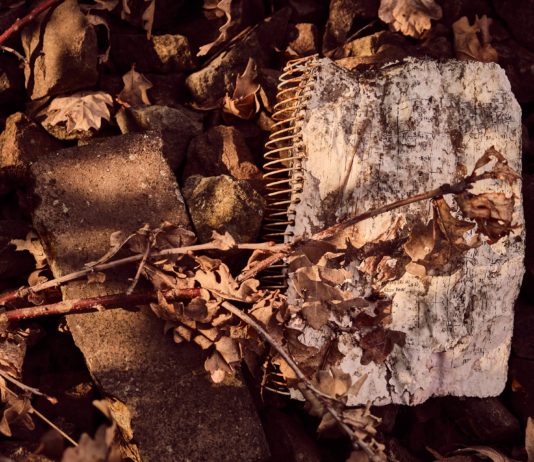 Diarios de Campo: especial Mar Menor