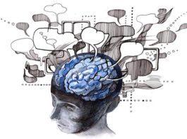 «Nuestra mente nos engaña», de Helena Matute: Sesgos y errores cognitivos que todos cometemos Cerebro