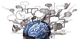 «Nuestra mente nos engaña», de Helena Matute: Sesgos y errores cognitivos que todos cometemos Cerebro