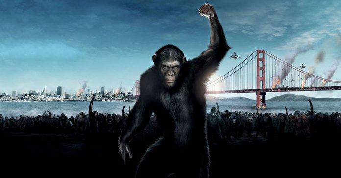 planeta-de-los-simios planeta-de-los-simios