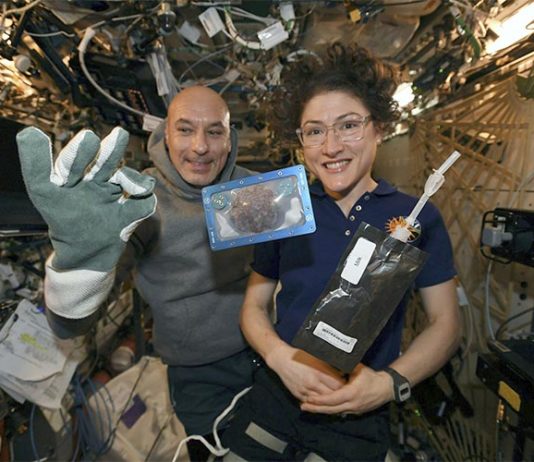 Cocinan las primeras galletas en el espacio con un horno especial Primeras galletas cocinadas en el espacio
