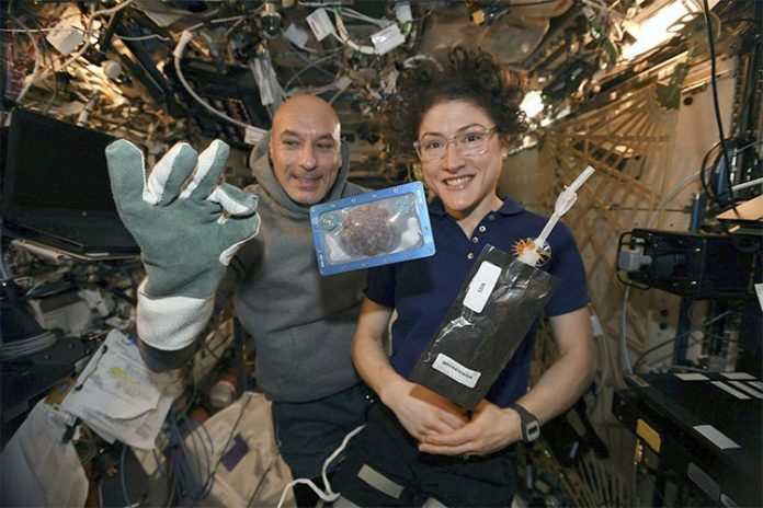 Primeras galletas cocinadas en el espacio Primeras galletas cocinadas en el espacio