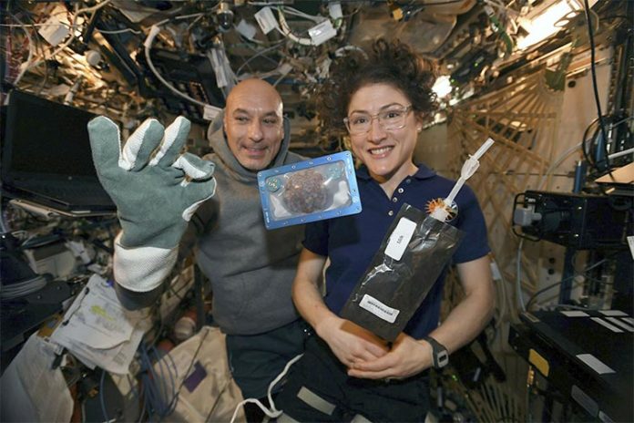 Primeras galletas cocinadas en el espacio