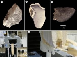 Un nuevo estudio revela que los primeros humanos usaban técnicas más elaboradas de lo que se creía Homínidos: Análisis de sus herramientas de piedra