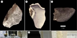 Un nuevo estudio revela que los primeros humanos usaban técnicas más elaboradas de lo que se creía Homínidos: Análisis de sus herramientas de piedra
