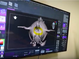 Typhoon Studios nos muestra lo bien que les quedan los esfínteres
